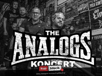 Zamość Wydarzenie Koncert Koncert zespołu The Analogs, support The United Tears