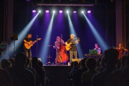 Adamów (pow. zamojski) Wydarzenie Koncert Dom o Zielonych Progach